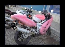 Enlace a CHONIS MOTERAS