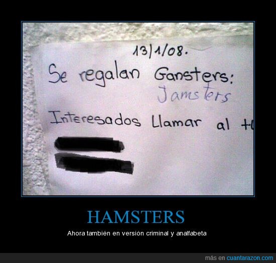 hamster,analfabetismo