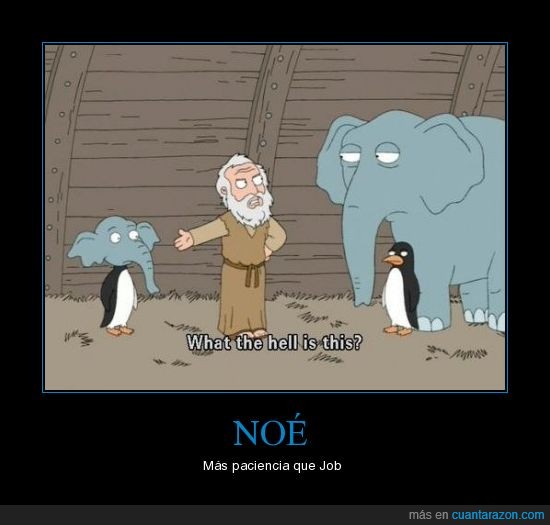 Arca,Elefante,Job,Noé,Pingüino