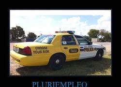 Enlace a PLURIEMPLEO