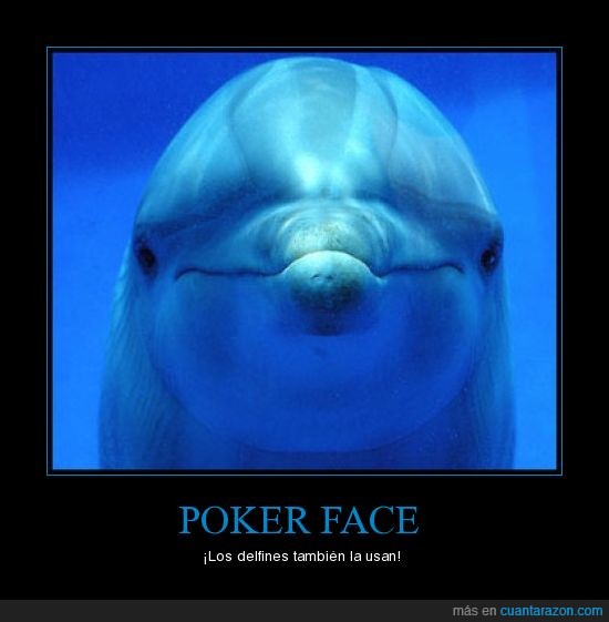 poker face,delfín,agua