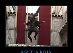 Enlace a ÁGUILA ROJA