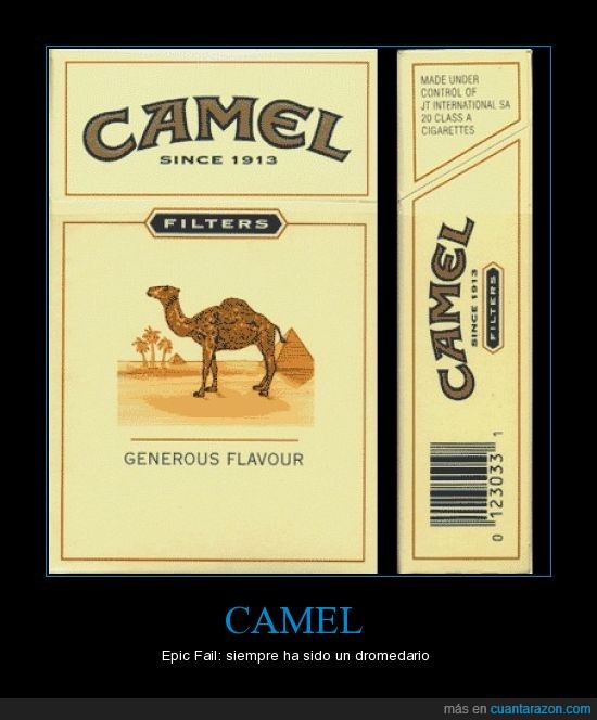 dromedario,camello,camel