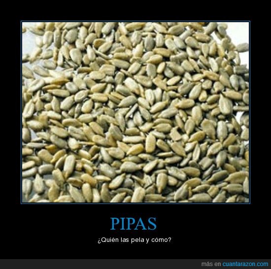 PIPAS