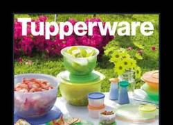 Enlace a TUPPERWARE