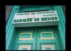 Enlace a NO ES POR PRESUMIR