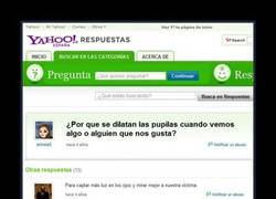 Enlace a DR. HANNIBAL LECTER