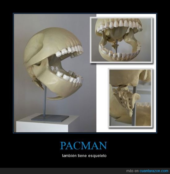 pacman,esqueleto