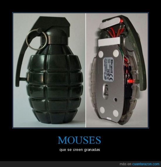 raton,mouse,granada