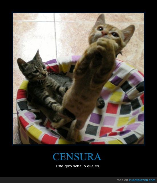 censura,gato