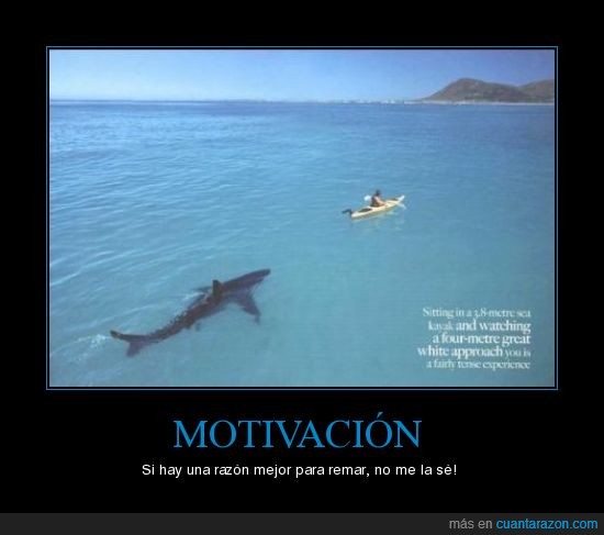 tiburón,remar,motivación.