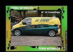 Enlace a CAMUFLAJE