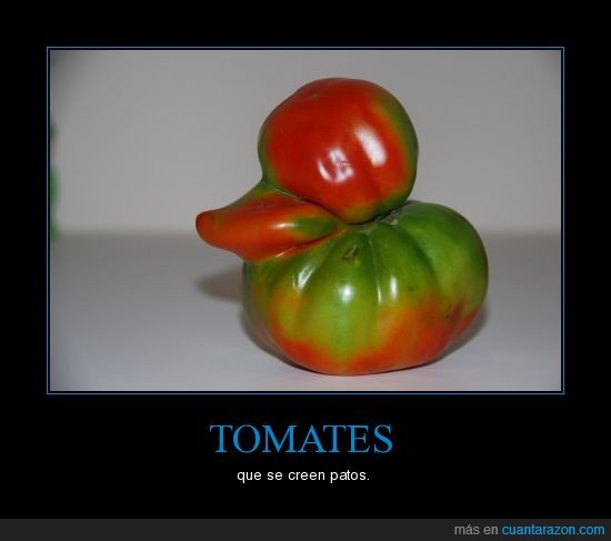 patos,movil,formas raras,tomates