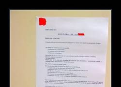 Enlace a JUEGOS FLORALES