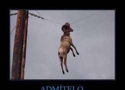 Enlace a ADMÍTELO
