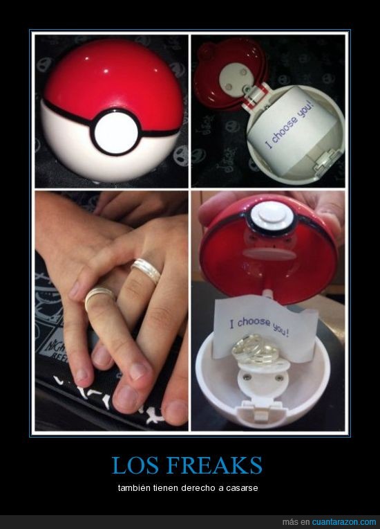 pokemon,pokeball,pedido,matrimonio