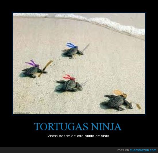 ninja,tortugas