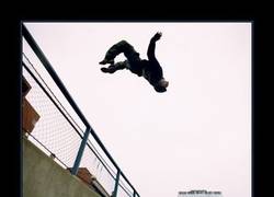 Enlace a PARKOUR