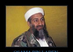 Enlace a OSAMA BIN LADEN