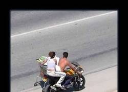 Enlace a LOS CANIS & CHONIS