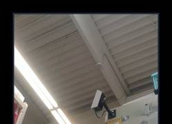 Enlace a CÁMARAS DE VIGILANCIA