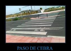 Enlace a PASO DE CEBRA