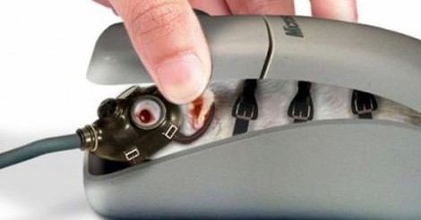 RATÓN