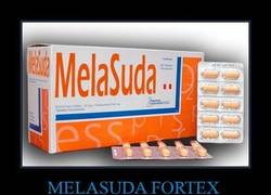 Enlace a MELASUDA FORTEX