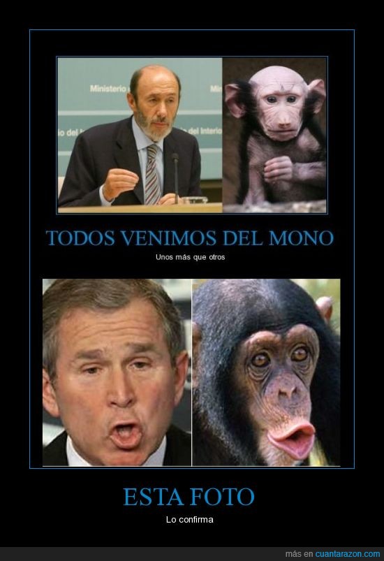 rubalcaba,mono,chimpancé,bush