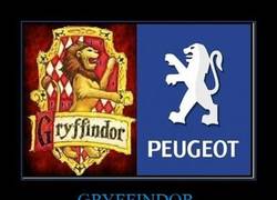 Enlace a GRYFFINDOR