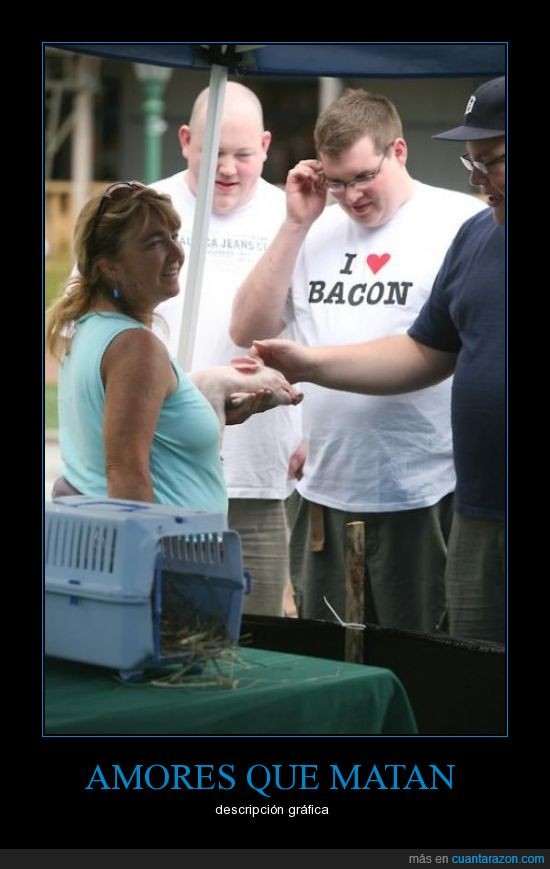 cerdo,camiseta,bacon,amor