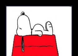 Enlace a SNOOPY
