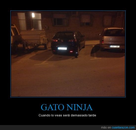 coche,gato,ninja