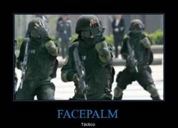 Enlace a FACEPALM