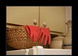 Enlace a FAN DE FUTURAMA