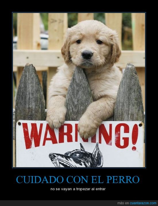 warning,perro,cachorro