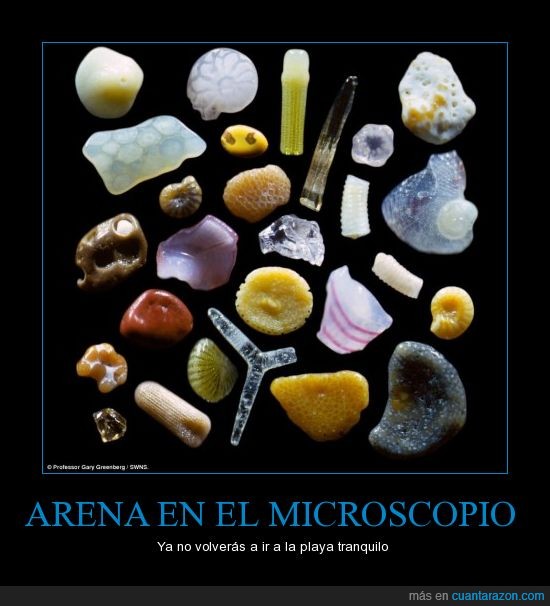 arena,microscopio,mujeres