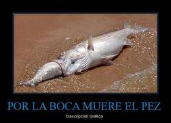 Enlace a POR LA BOCA MUERE EL PEZ