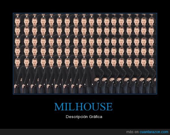 house,descripcion grafica,milhouse