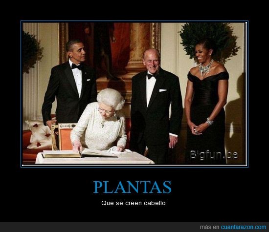 Planta,Reina,Michelle Obama,Cabello