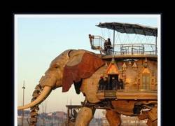 Enlace a ELEFANTE DE TROYA