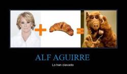 Enlace a ALF AGUIRRE