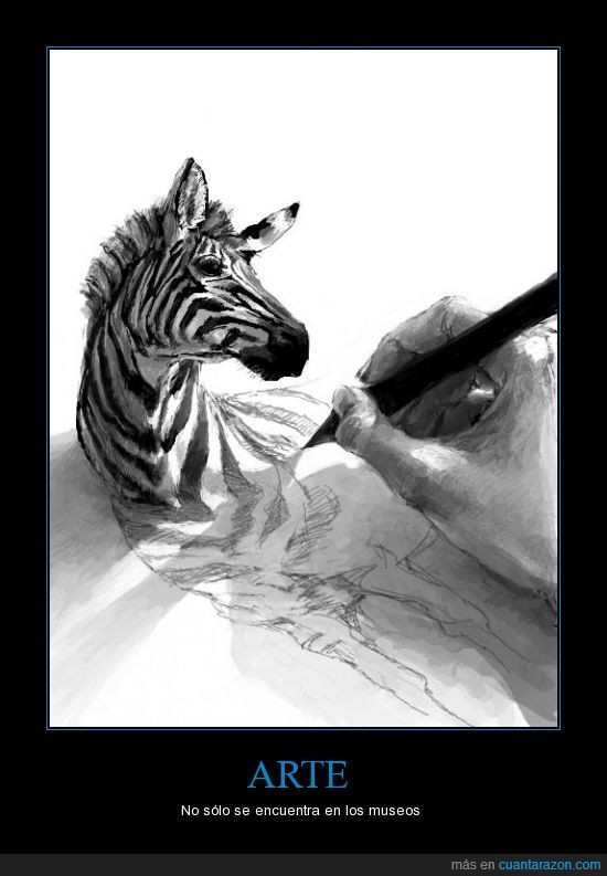 arte,ilusión óptica,zebra