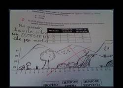 Enlace a ECOSISTEMAS