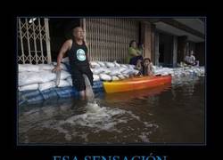 Enlace a ESA SENSACIÓN