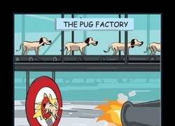 Enlace a FÁBRICA DE CARLINOS