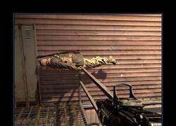 Enlace a PLANKING