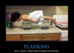 Enlace a PLANKING