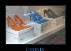 Enlace a CHONIS