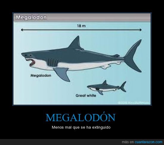 gigante,grande,megalodon,playa,temor submarino,tiburón